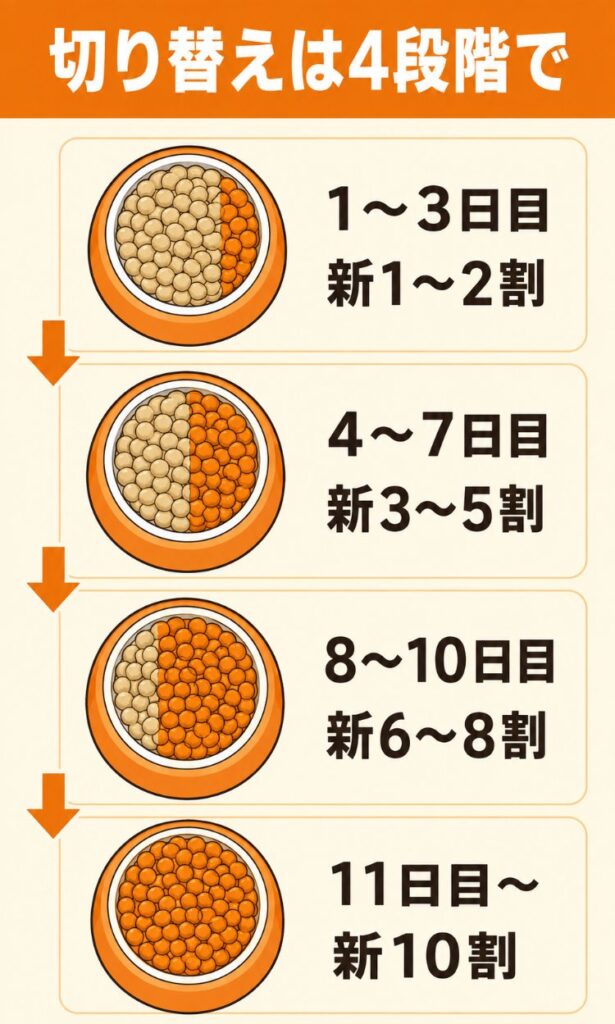 シニア犬用フードへの切り替えを1〜3日目・4〜7日目・8〜10日目・11日目以降の4段階で進める割合の目安を示した図
